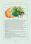 Alternative view 5 of The Junior Plant Lover's Handbook: A Green-Thumb Guide for Kids
