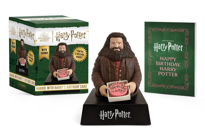 Harry Potter Hagrid With Harry S Birthday Cake You Re A Wizard