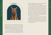 Alternative view 19 of Cat Gods, Goddesses, Deities, and Demons: A Guide to Feline Folklore and Mythology