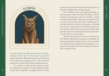 Alternative view 4 of Cat Gods, Goddesses, Deities, and Demons: A Guide to Feline Folklore and Mythology