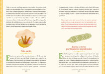 Alternative view 3 of Vivir Bruja (Being Bruja): Una guia para jovenes (Spanish Edition)