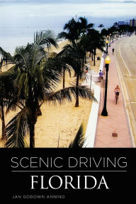 Scenic Driving Florida, 3rd