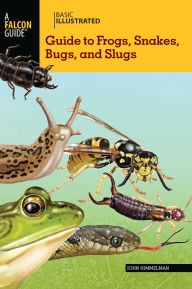 Title: Basic Illustrated Guide to Frogs, Snakes, Bugs, and Slugs, Author: John Himmelman