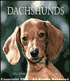 2001 Dogs Dachshunds Engagement Calendar