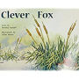 Rigby PM Plus: Individual Student Edition Yellow (Levels 6-8) Clever Fox
