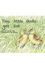 Rigby PM Plus: Individual Student Edition Blue (Levels 9-11) Two Little Ducks Get Lost