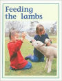 Rigby PM Plus: Individual Student Edition Green (Levels 12-14) Feeding the Lambs