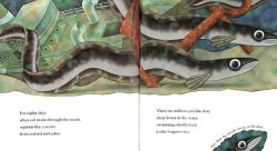 Alternative view 2 of Think of an Eel (Read and Wonder Series)