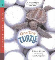 Title: One Tiny Turtle: Read and Wonder, Author: Nicola Davies