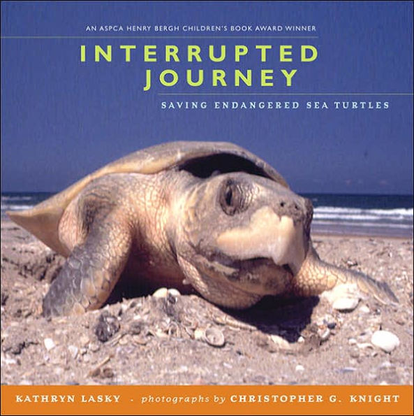 Interrupted Journey: Saving Endangered Sea Turtles