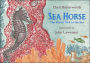 Sea Horse: The Shyest Fish in the Sea
