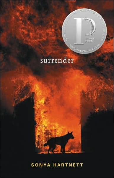 Surrender By Sonya Hartnett Paperback Barnes And Noble®