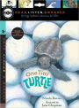 One Tiny Turtle (Read, Listen, and Wonder Series)