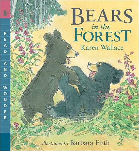 Bears in the Forest (Read and Wonder Series)