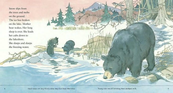 Bears in the Forest (Read and Wonder Series)