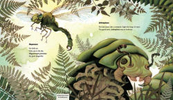 Alternative view 2 of In the Past: From Trilobites to Dinosaurs to Mammoths in More Than 500 Million Years
