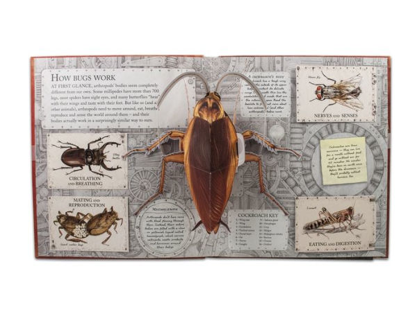 Bugs: A Stunning Pop-up Look at Insects, Spiders, and Other Creepy-Crawlies