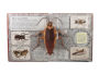 Alternative view 2 of Bugs: A Stunning Pop-up Look at Insects, Spiders, and Other Creepy-Crawlies