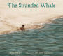 The Stranded Whale