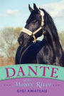 Dante: Horses of the Maury River Stables