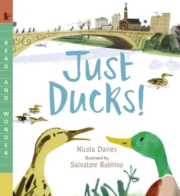 Just Ducks! by Nicola Davies, Salvatore Rubbino, Hardcover | Barnes