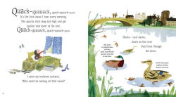 Alternative view 3 of Just Ducks!: Read and Wonder
