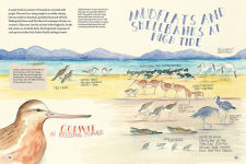 Alternative view 2 of Welcome to New Zealand: A Nature Journal