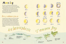 Alternative view 4 of Welcome to New Zealand: A Nature Journal