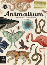 Title: Animalium (Welcome to the Museum Series), Author: Jenny Broom