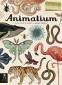 Animalium (Welcome to the Museum Series)