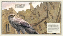 Alternative view 4 of The Hawk of the Castle: A Story of Medieval Falconry