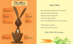 Alternative view 2 of Hare and Tortoise