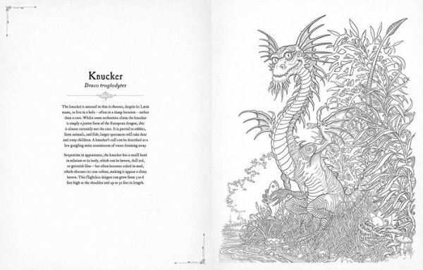 Dragonology Coloring Book