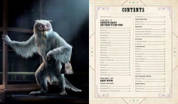 Alternative view 11 of J.K. Rowling's Wizarding World: Movie Magic Volume Two: Curious Creatures