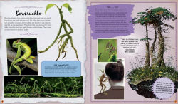 Alternative view 4 of J.K. Rowling's Wizarding World: Movie Magic Volume Two: Curious Creatures