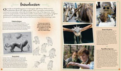 Alternative view 5 of J.K. Rowling's Wizarding World: Movie Magic Volume Two: Curious Creatures
