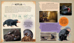 Alternative view 7 of J.K. Rowling's Wizarding World: Movie Magic Volume Two: Curious Creatures