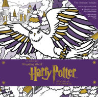 Title: Harry Potter: Winter at Hogwarts: A Magical Coloring Set, Author: Insight Editions