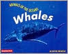 Whales