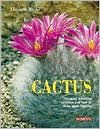 Cactus: The Most Beautiful Varieties and how to Keep Them Healthy