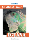 All About Your Iguana