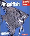 Angelfish: Everything about Purchase, Care, Nutrition, Behavior, and Aquarium Maintenance