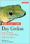 Day Geckos: Facts and Advice on Care and Breeding