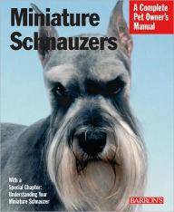 Miniature Schnauzers