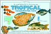 An Essential Guide to Choosing Your Tropical Freshwater Fish (Tankmaster Series)