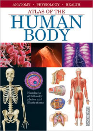 Title: Atlas of the Human Body, Author: Adolfo Cassan