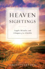 Heaven Sightings: Angels, Miracles, and Glimpses of the Afterlife