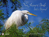 New Jersey Birds and Beyond