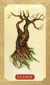Title: Tree of Life Oracle, Author: Elaine Clayton