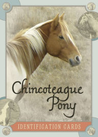 Title: Chincoteague Pony Identification Cards, Author: Lois Szymanski